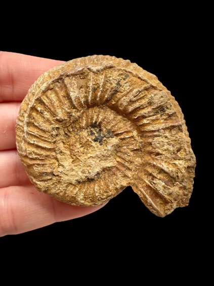 Photoroom 002 20250901 200427