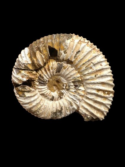 Photoroom 000 20250902 195405