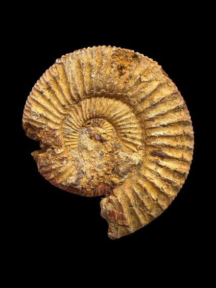 Photoroom 002 20250902 195405