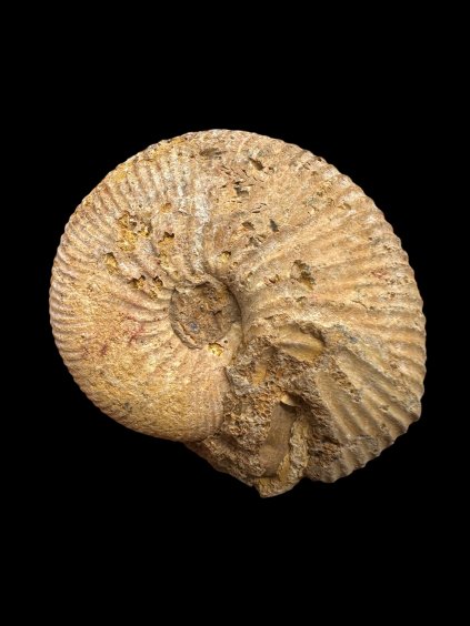 Photoroom 005 20250902 195405