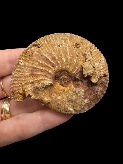 Photoroom 006 20250902 195405