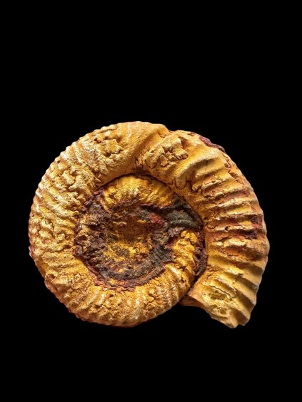 Photoroom 002 20250904 183453