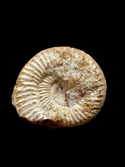 Photoroom 006 20250904 183453