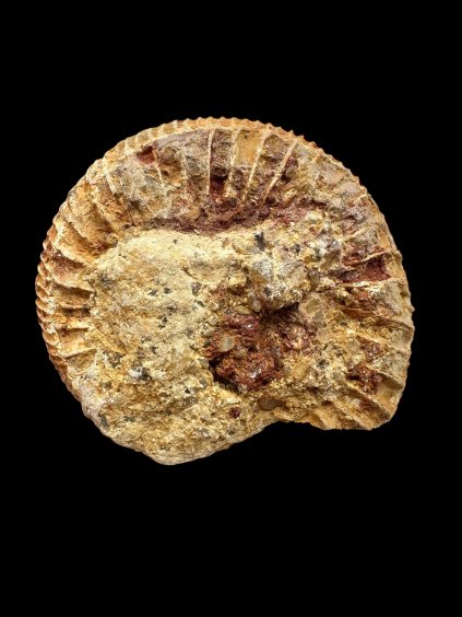 Photoroom 000 20250904 184143