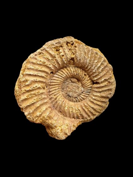 Photoroom 003 20250904 184143