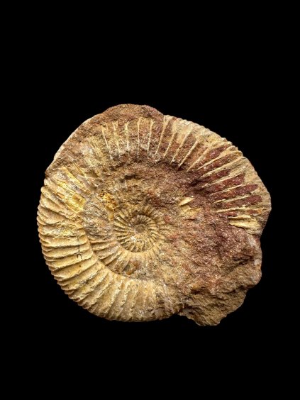 Photoroom 000 20250905 083242