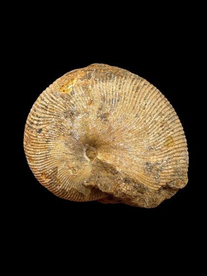 Photoroom 000 20250907 121720