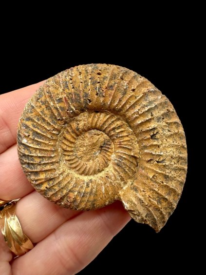 Photoroom 002 20250907 121720