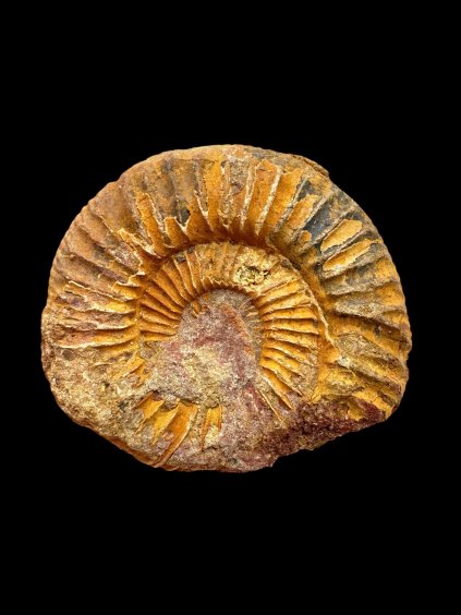 Photoroom 000 20250908 131101