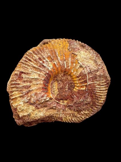 Photoroom 002 20250908 131101