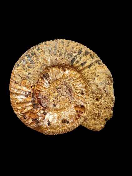 Photoroom 004 20250908 131101