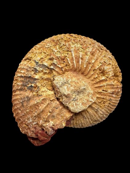 Photoroom 006 20250908 131101