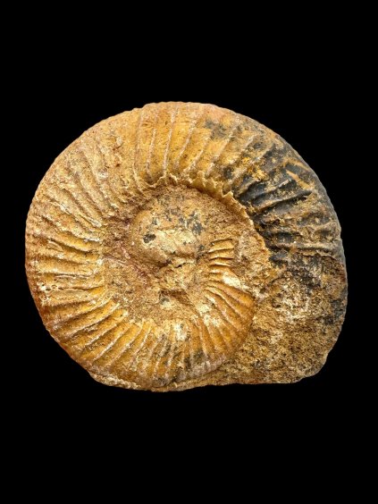 Photoroom 008 20250908 131101