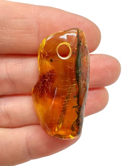 Photoroom 000 20250928 165430