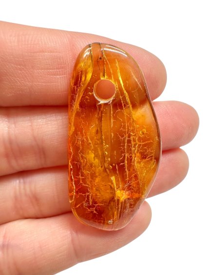 Photoroom 020 20250928 201615