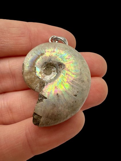 Photoroom 006 20250928 165724