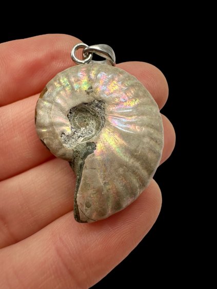 Photoroom 008 20250928 165724