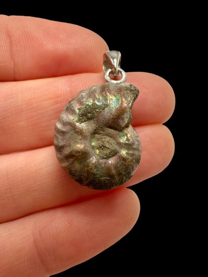 Photoroom 010 20250928 165724