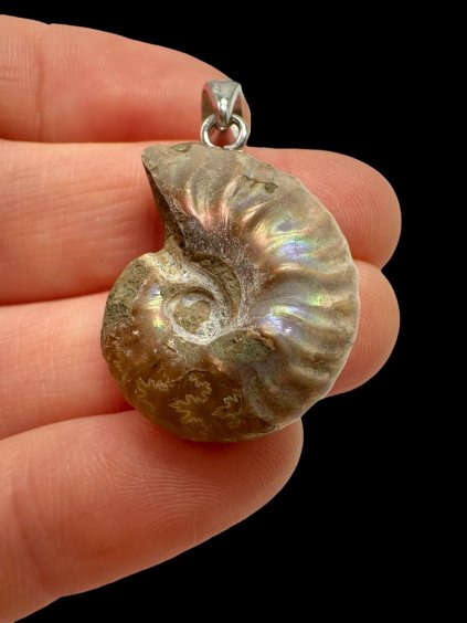 Photoroom 013 20250928 165724