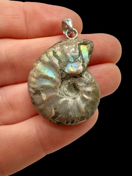 Photoroom 015 20250928 165724