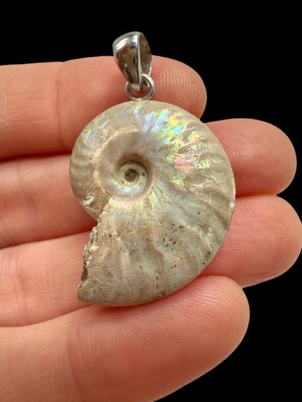 Photoroom 016 20250928 165724