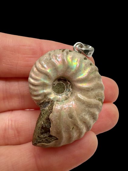 Photoroom 001 20250929 203926