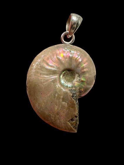 Photoroom 002 20250929 203926