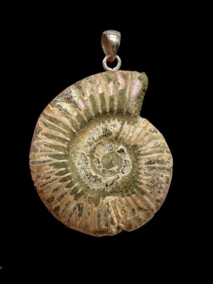 Photoroom 006 20250929 203926