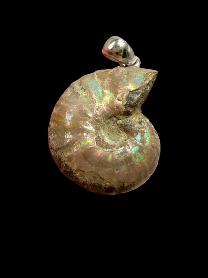 Photoroom 008 20250929 203926