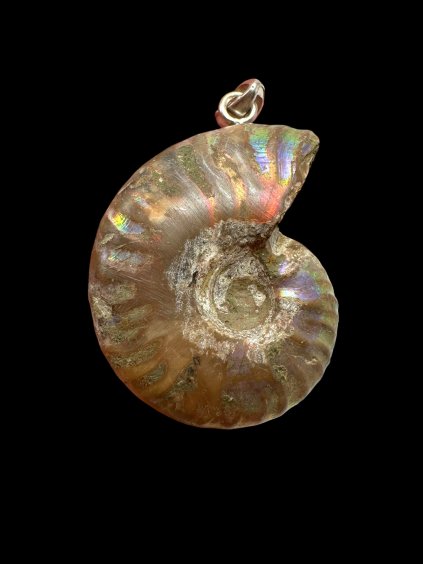 Photoroom 001 20250930 154752