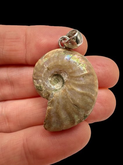 Photoroom 002 20250930 173121