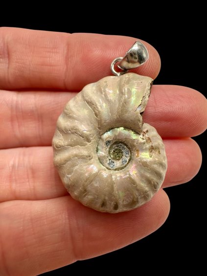 Photoroom 004 20250930 173121