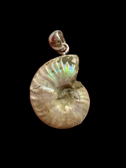 Photoroom 006 20250930 173121