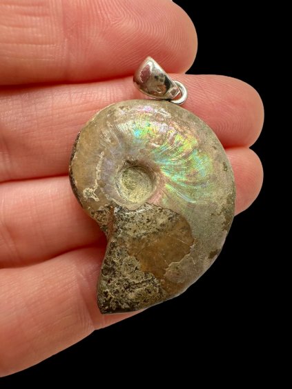 Photoroom 009 20250930 173121