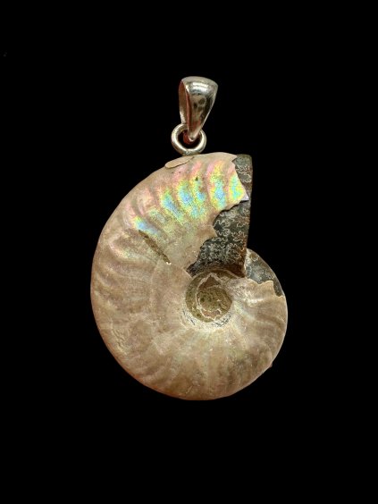 Photoroom 010 20250930 173121