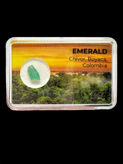 Photoroom 20251003 201134