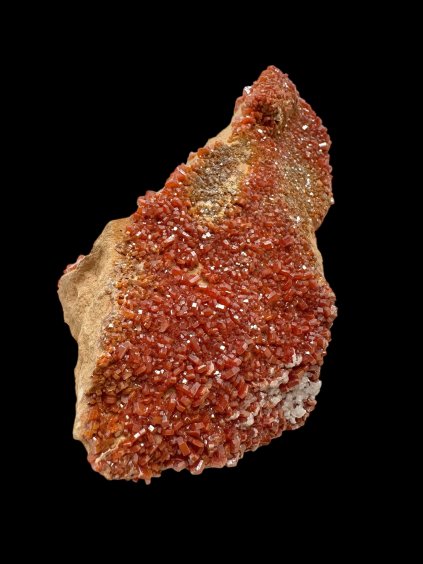 Photoroom 028 20251005 152012