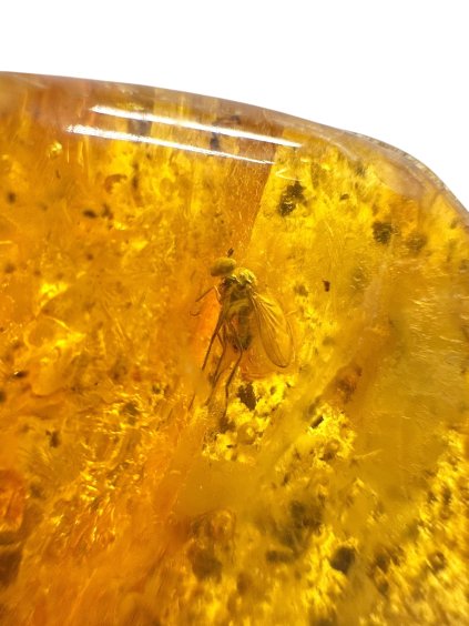 Photoroom 014 20251012 144954