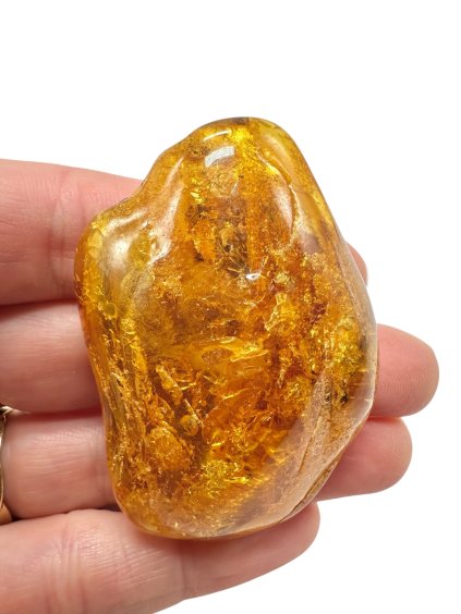 Photoroom 000 20251110 103345