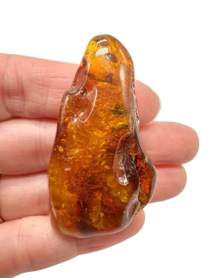 Photoroom 003 20251110 103345