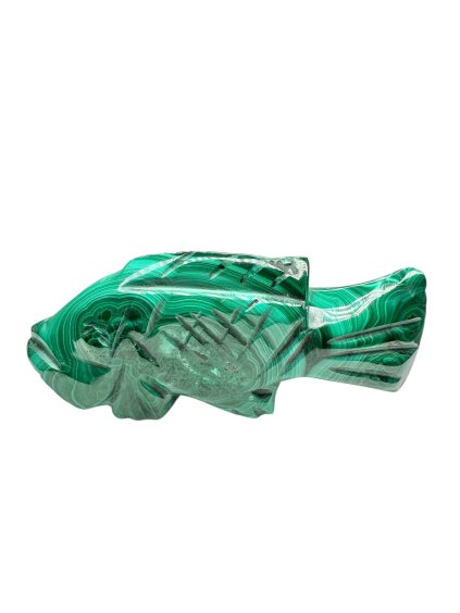 Photoroom 009 20251027 143636