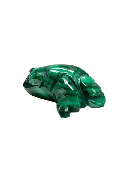 Photoroom 008 20251027 162813