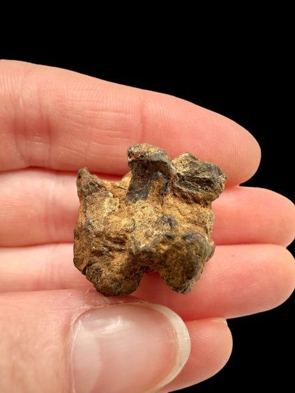 Photoroom 011 20251104 175612