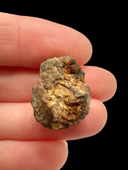 Photoroom 012 20251104 175612