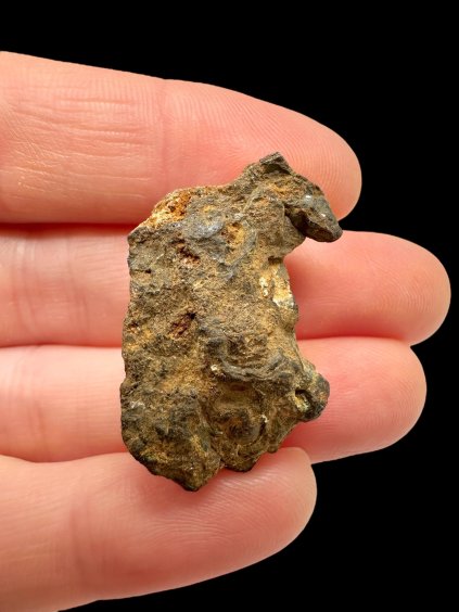 Photoroom 016 20251104 175612