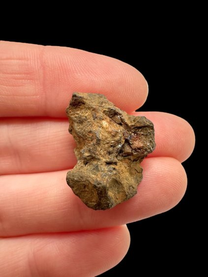 Photoroom 019 20251104 175612