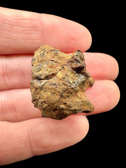 Photoroom 024 20251106 180110