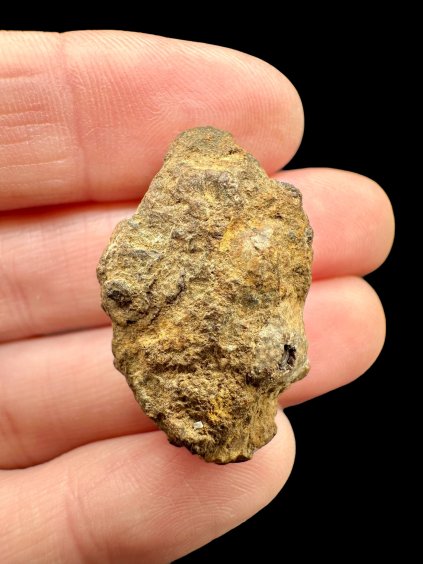 Photoroom 025 20251106 180110