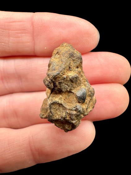 Photoroom 028 20251106 180110