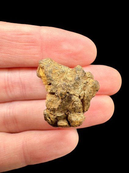 Photoroom 000 20251106 181521